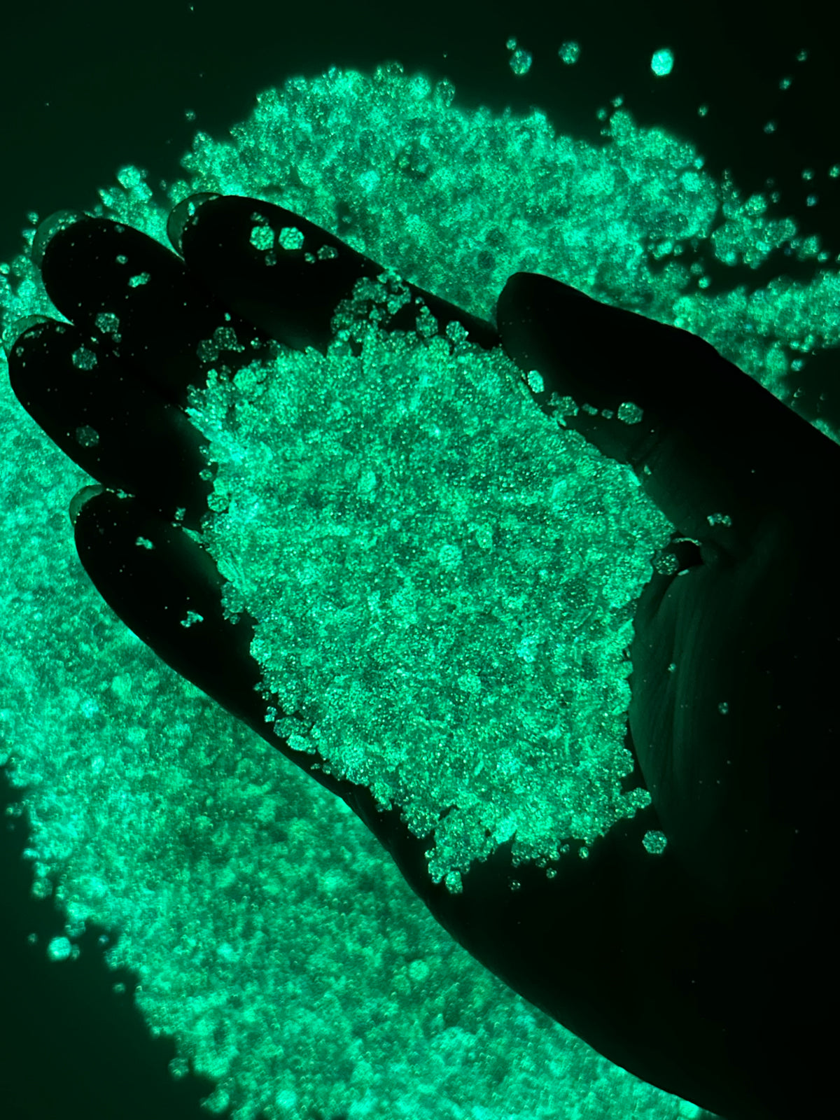 Sugar Rush (Glow)